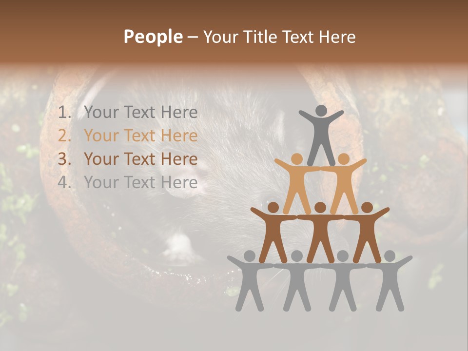 Norway Nature Small PowerPoint Template