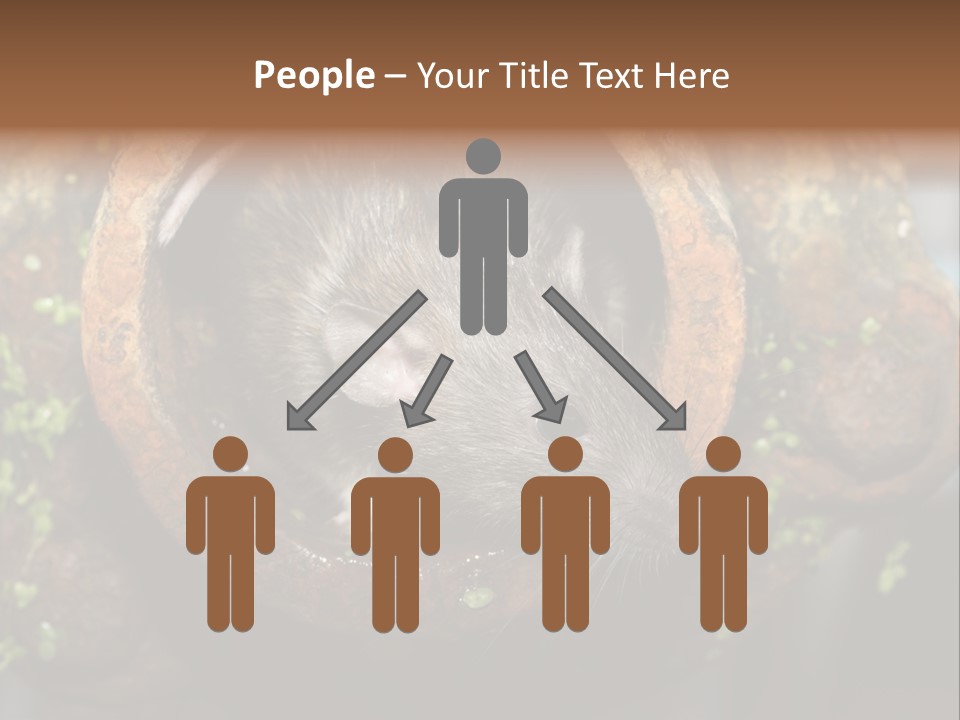 Norway Nature Small PowerPoint Template