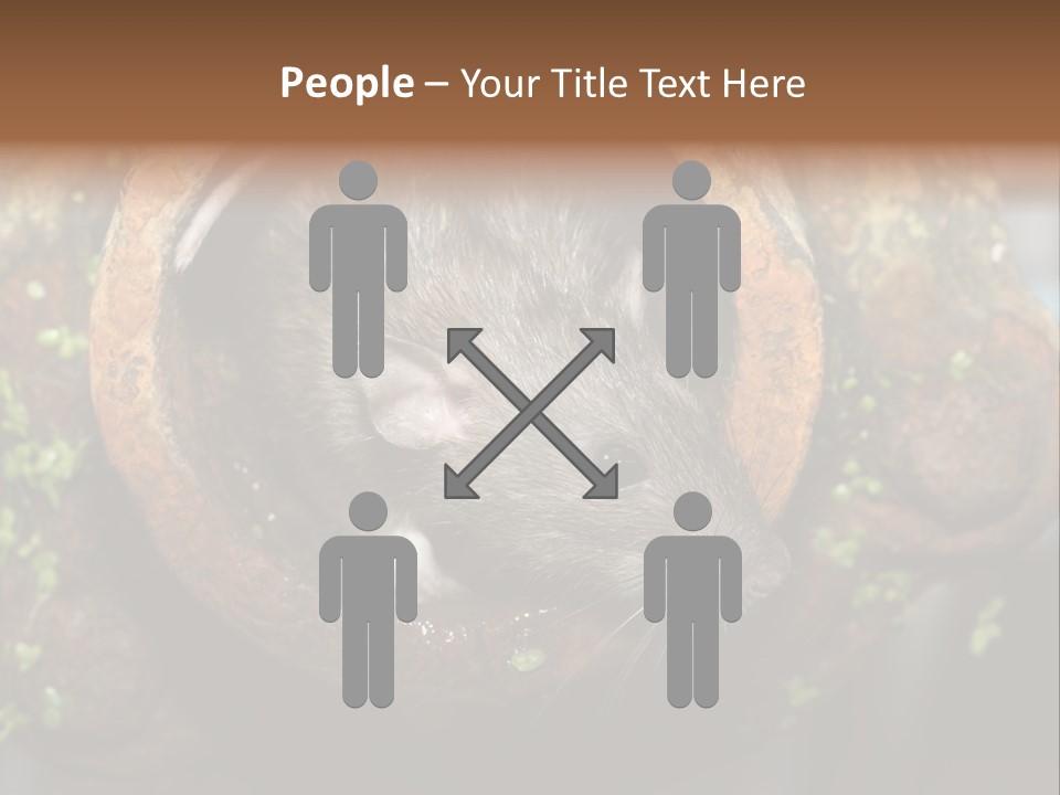 Norway Nature Small PowerPoint Template