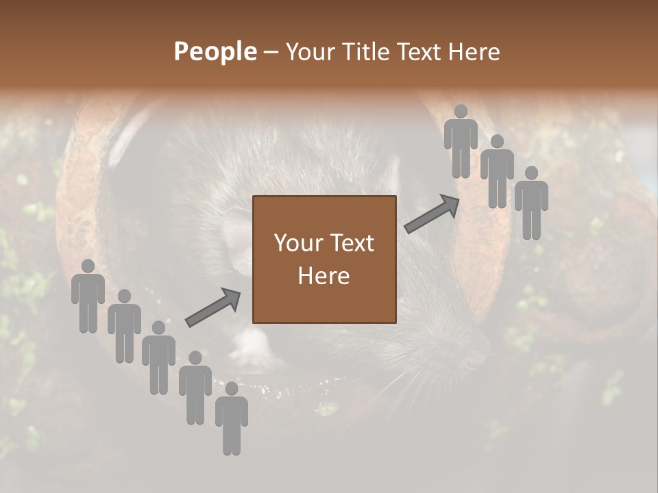 Norway Nature Small PowerPoint Template