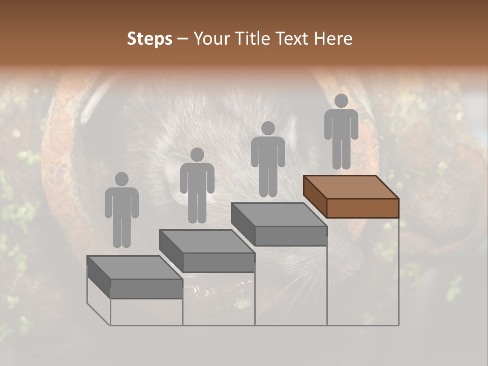 Norway Nature Small PowerPoint Template