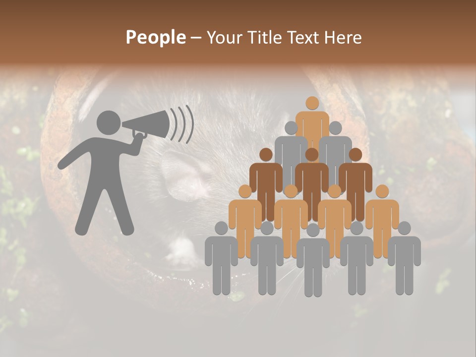 Norway Nature Small PowerPoint Template