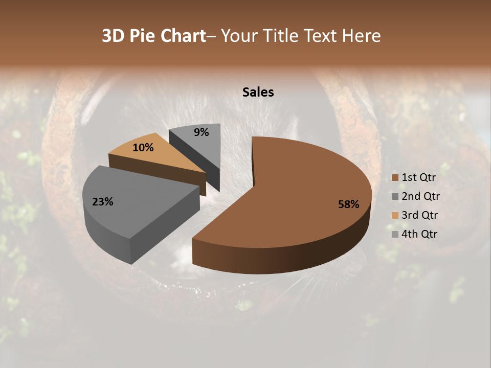 Norway Nature Small PowerPoint Template
