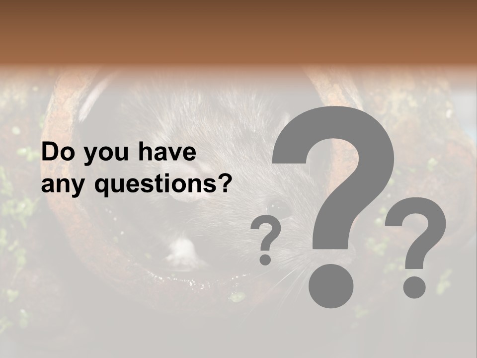 Norway Nature Small PowerPoint Template