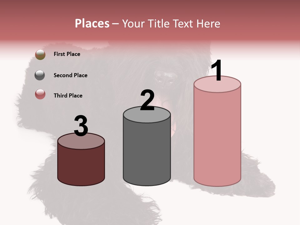 Pet Cut Out Black PowerPoint Template