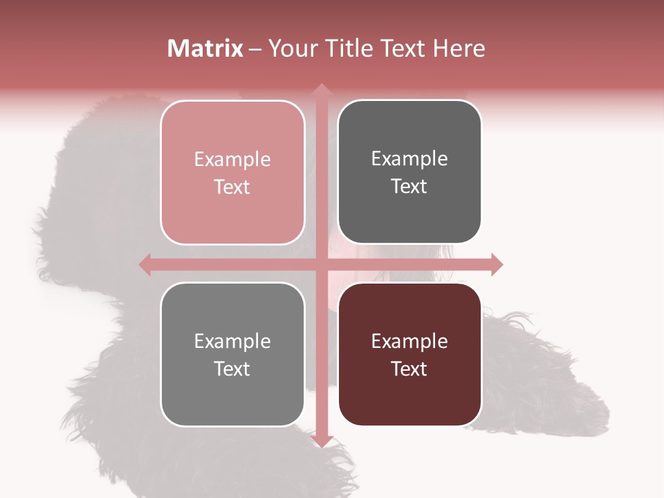 Pet Cut Out Black PowerPoint Template