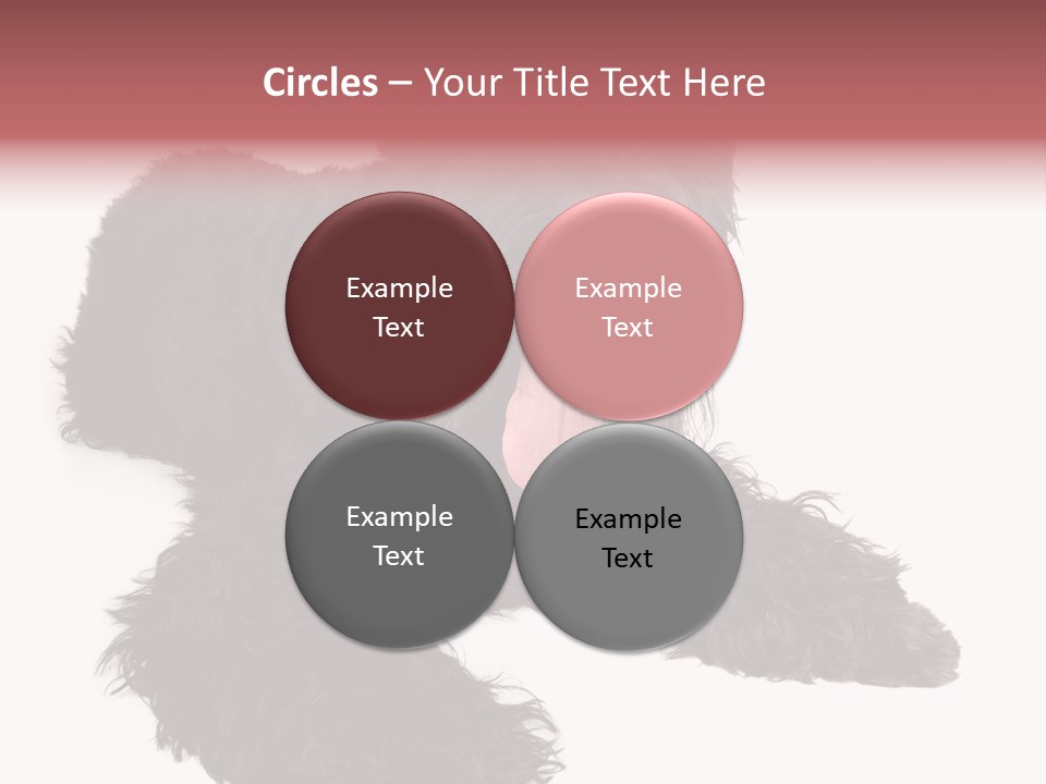 Pet Cut Out Black PowerPoint Template