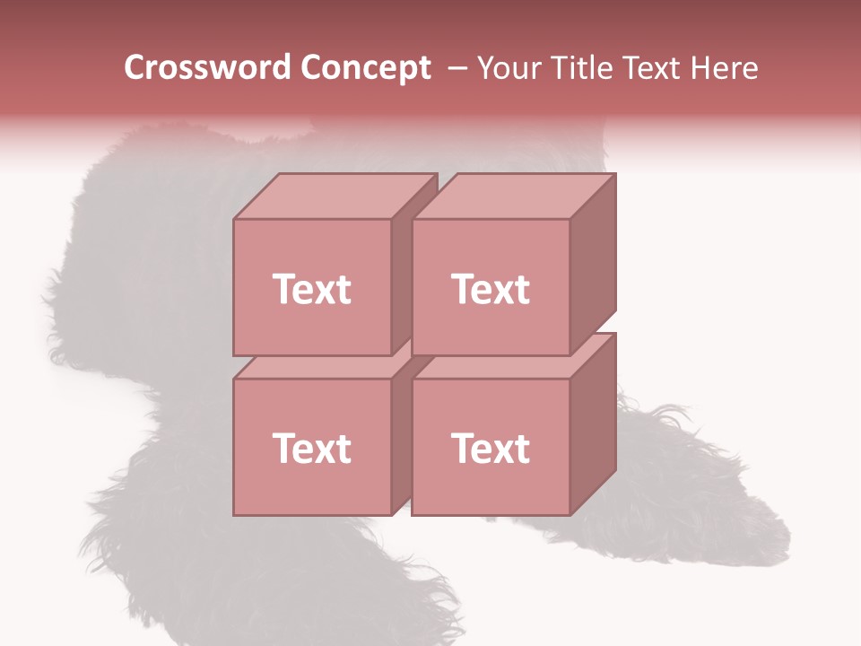 Pet Cut Out Black PowerPoint Template