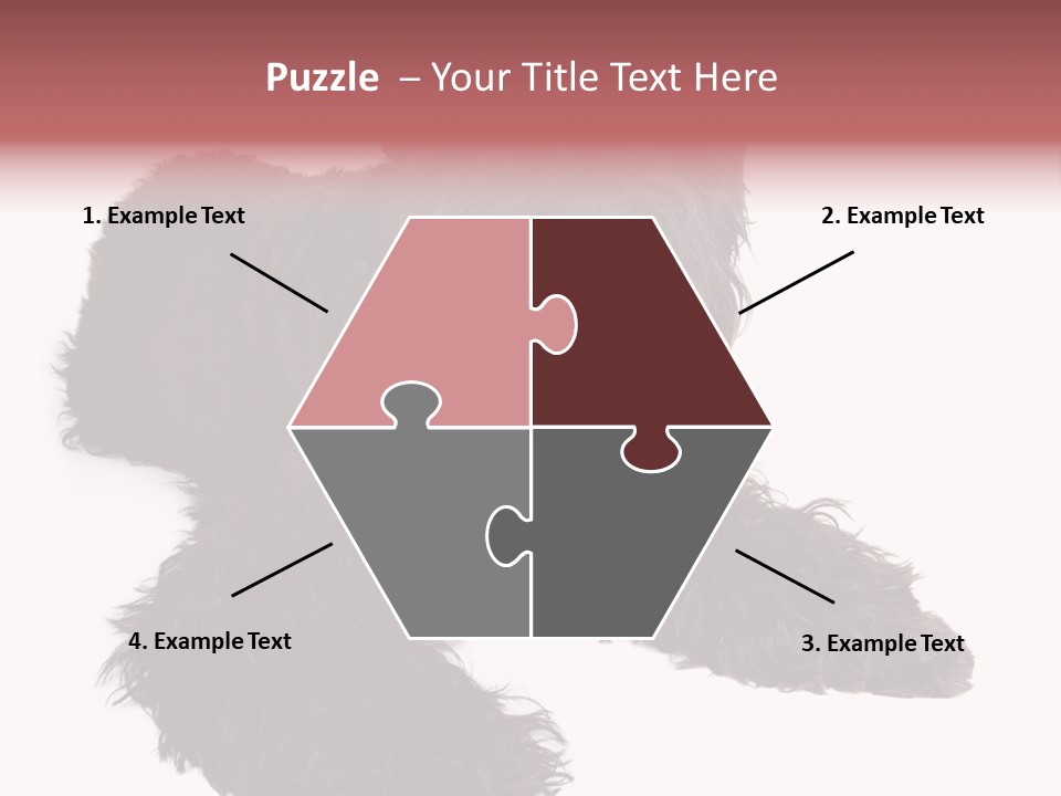 Pet Cut Out Black PowerPoint Template