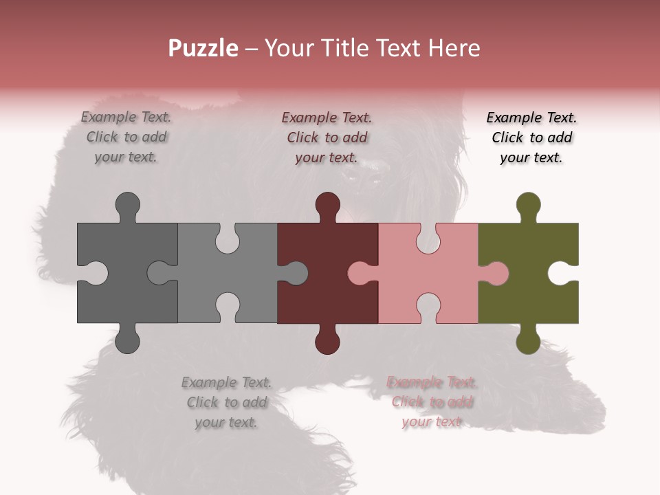 Pet Cut Out Black PowerPoint Template