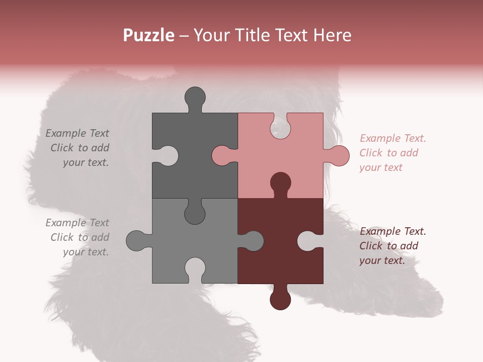 Pet Cut Out Black PowerPoint Template