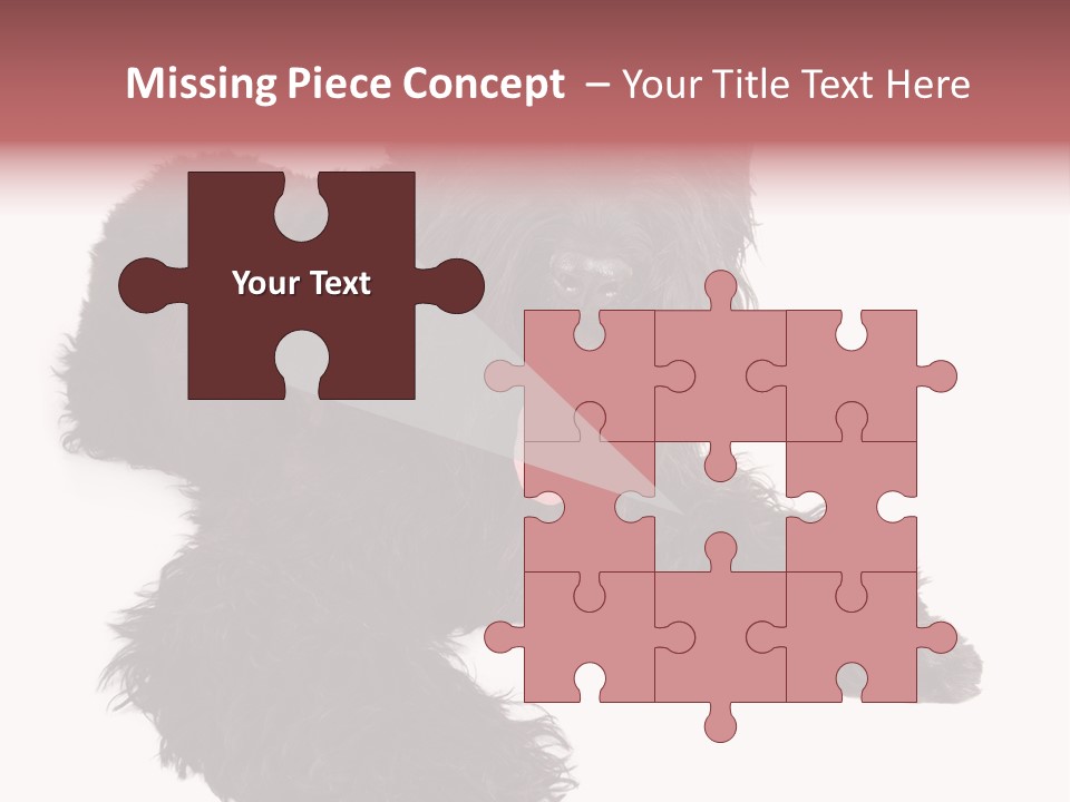 Pet Cut Out Black PowerPoint Template