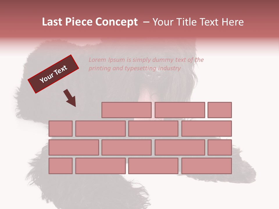 Pet Cut Out Black PowerPoint Template