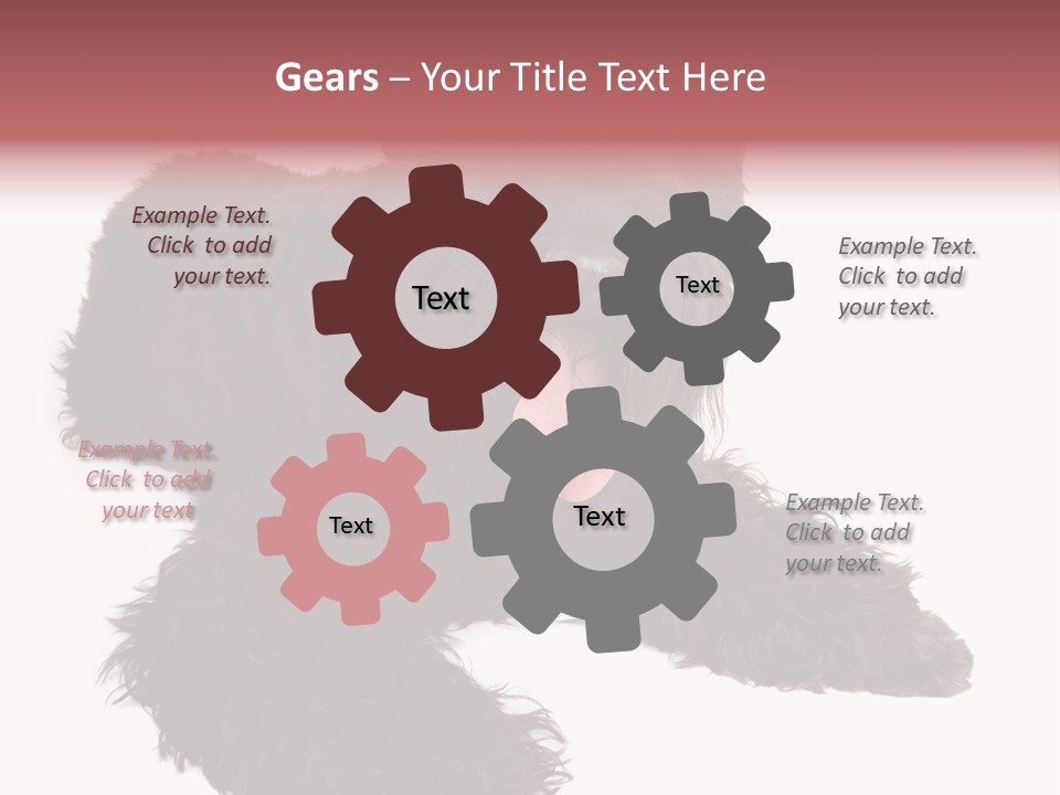 Pet Cut Out Black PowerPoint Template