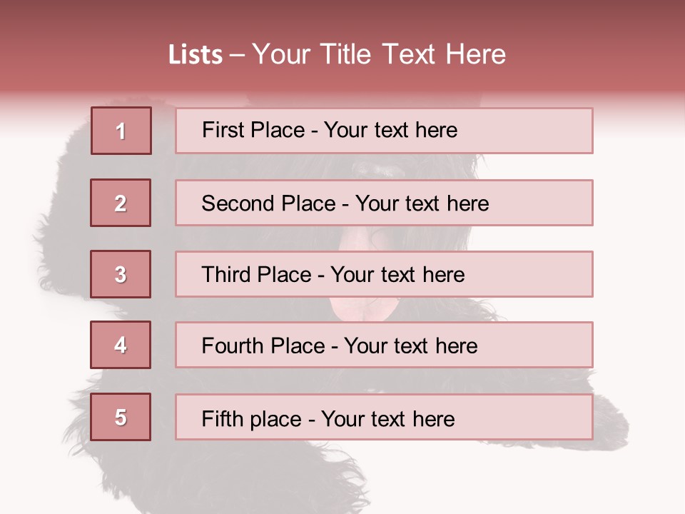 Pet Cut Out Black PowerPoint Template