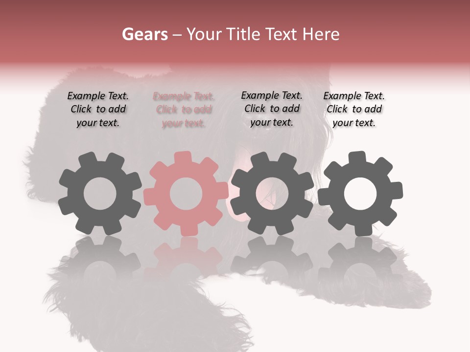 Pet Cut Out Black PowerPoint Template