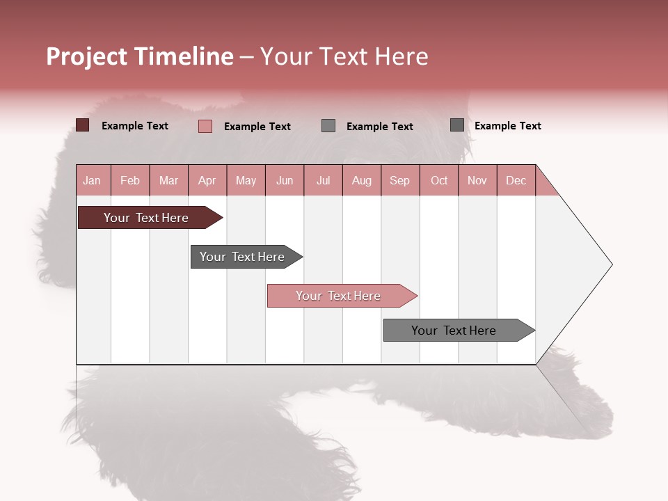 Pet Cut Out Black PowerPoint Template