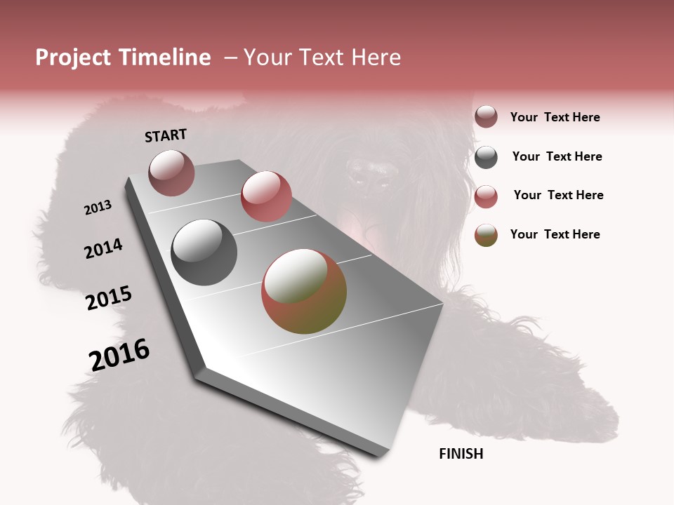 Pet Cut Out Black PowerPoint Template