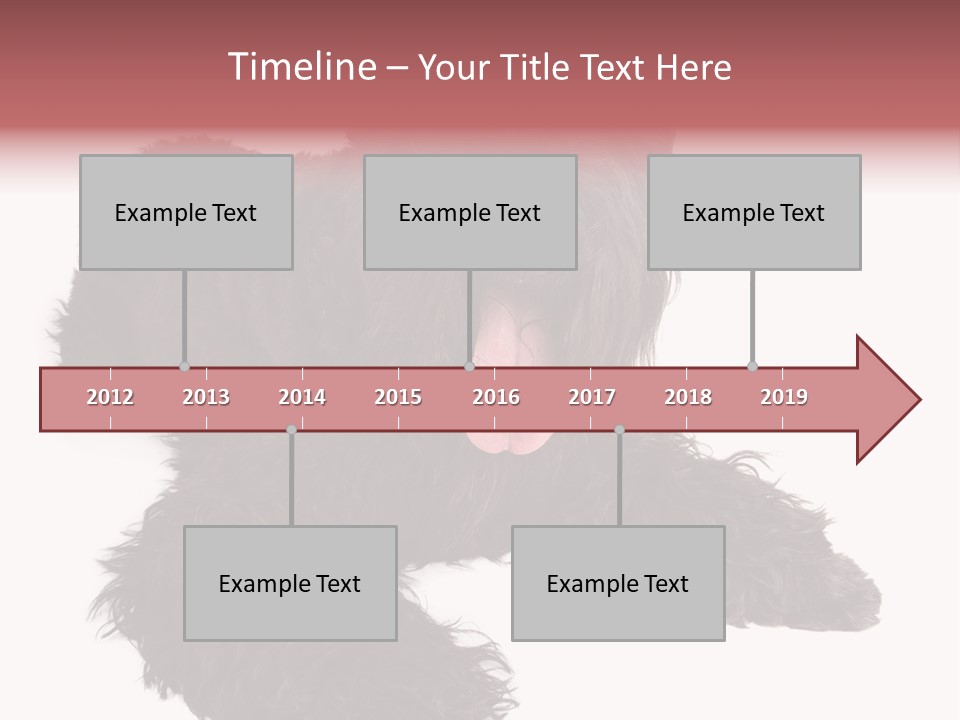 Pet Cut Out Black PowerPoint Template