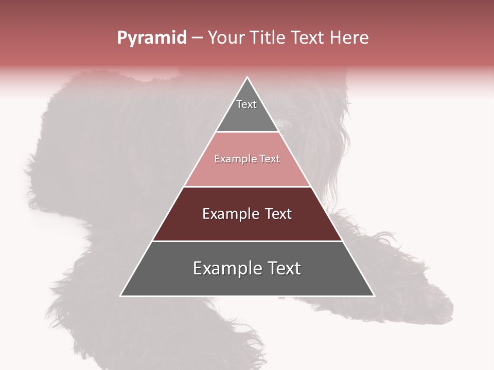 Pet Cut Out Black PowerPoint Template