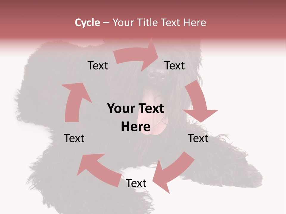 Pet Cut Out Black PowerPoint Template