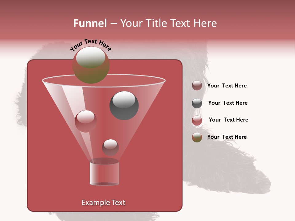 Pet Cut Out Black PowerPoint Template