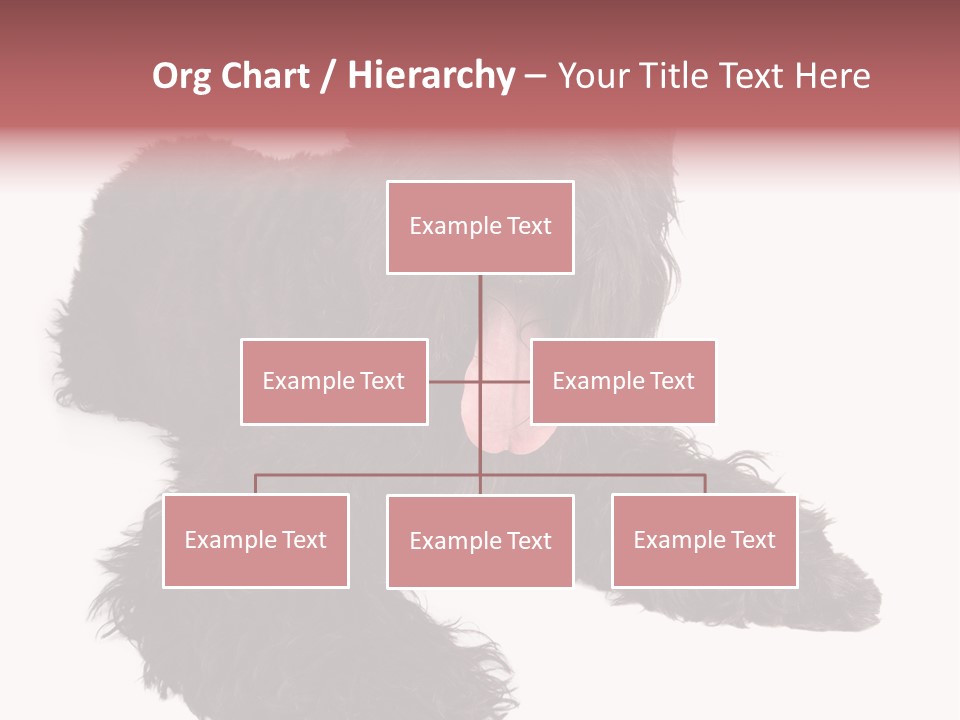 Pet Cut Out Black PowerPoint Template