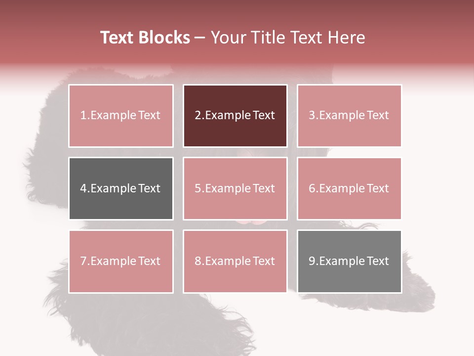 Pet Cut Out Black PowerPoint Template