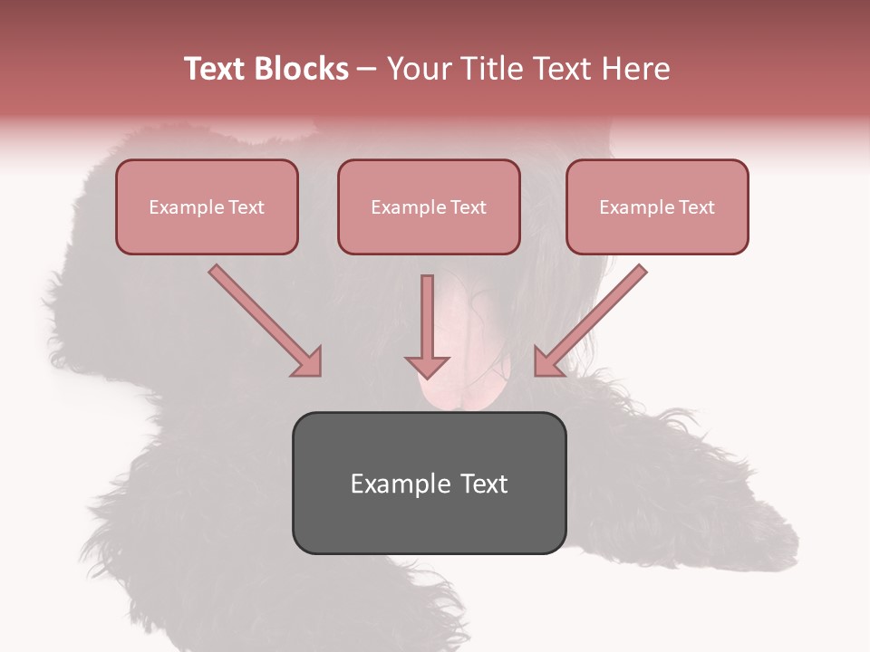 Pet Cut Out Black PowerPoint Template