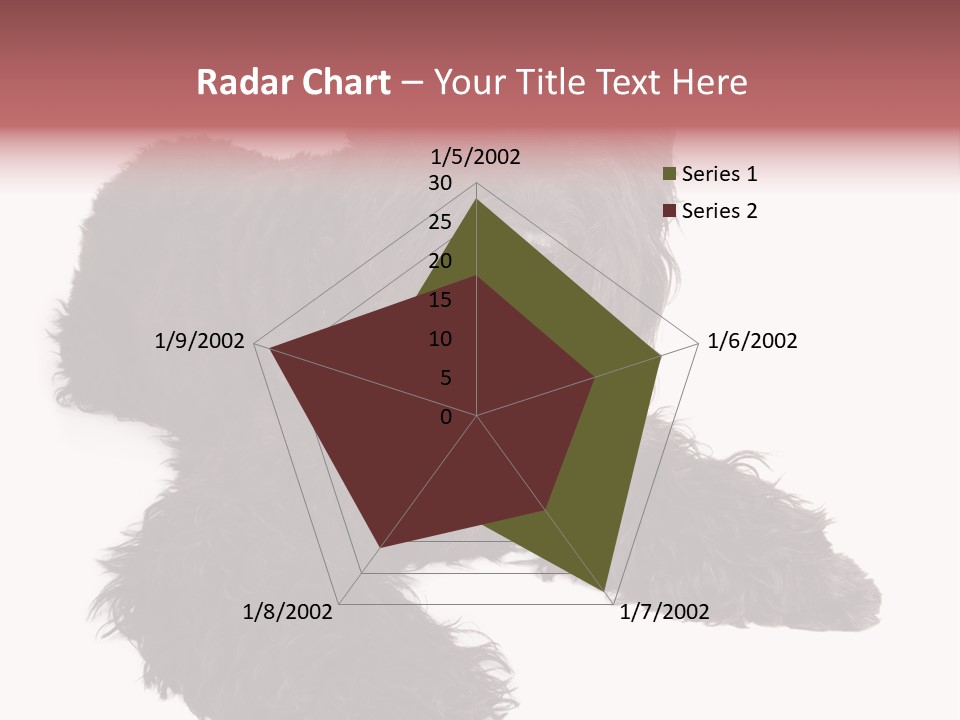 Pet Cut Out Black PowerPoint Template