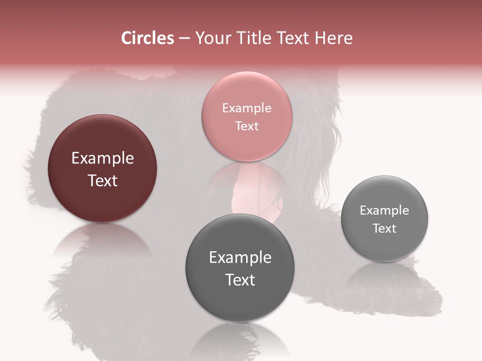 Pet Cut Out Black PowerPoint Template