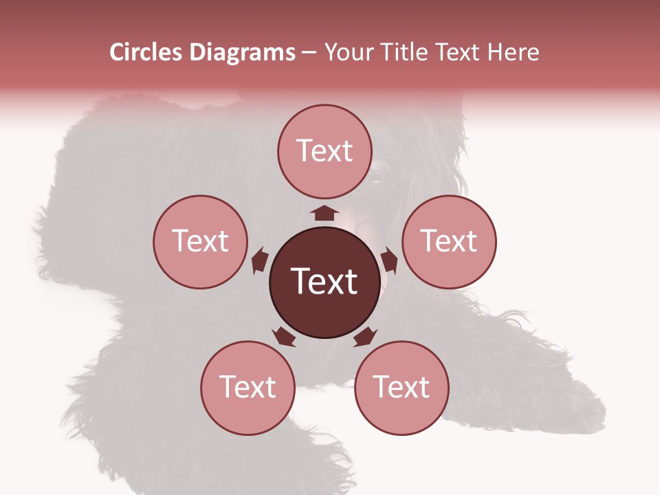 Pet Cut Out Black PowerPoint Template