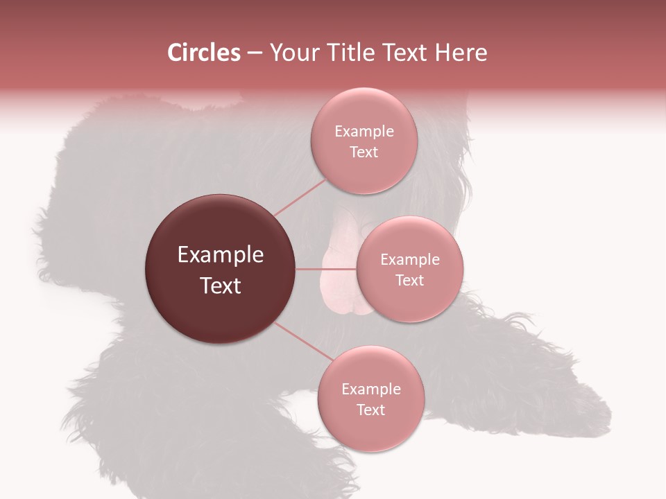 Pet Cut Out Black PowerPoint Template