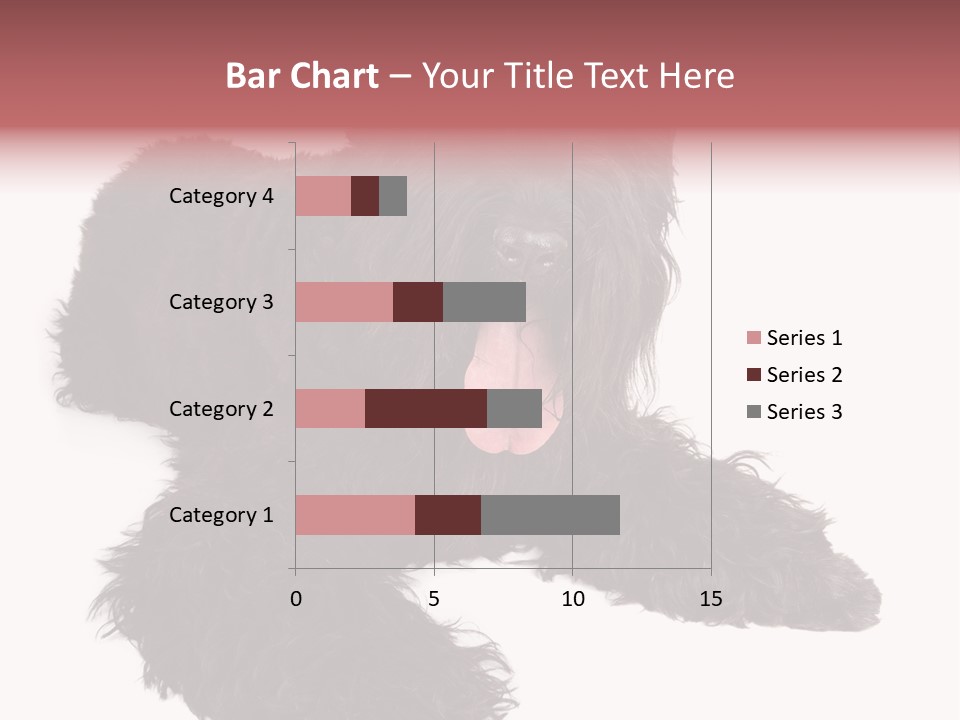 Pet Cut Out Black PowerPoint Template