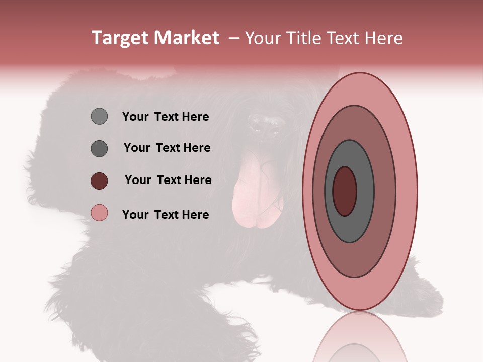 Pet Cut Out Black PowerPoint Template