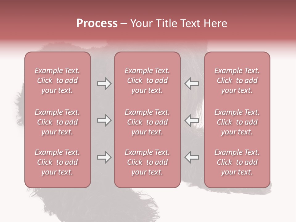 Pet Cut Out Black PowerPoint Template