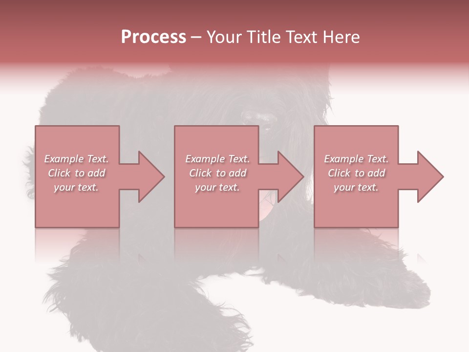 Pet Cut Out Black PowerPoint Template