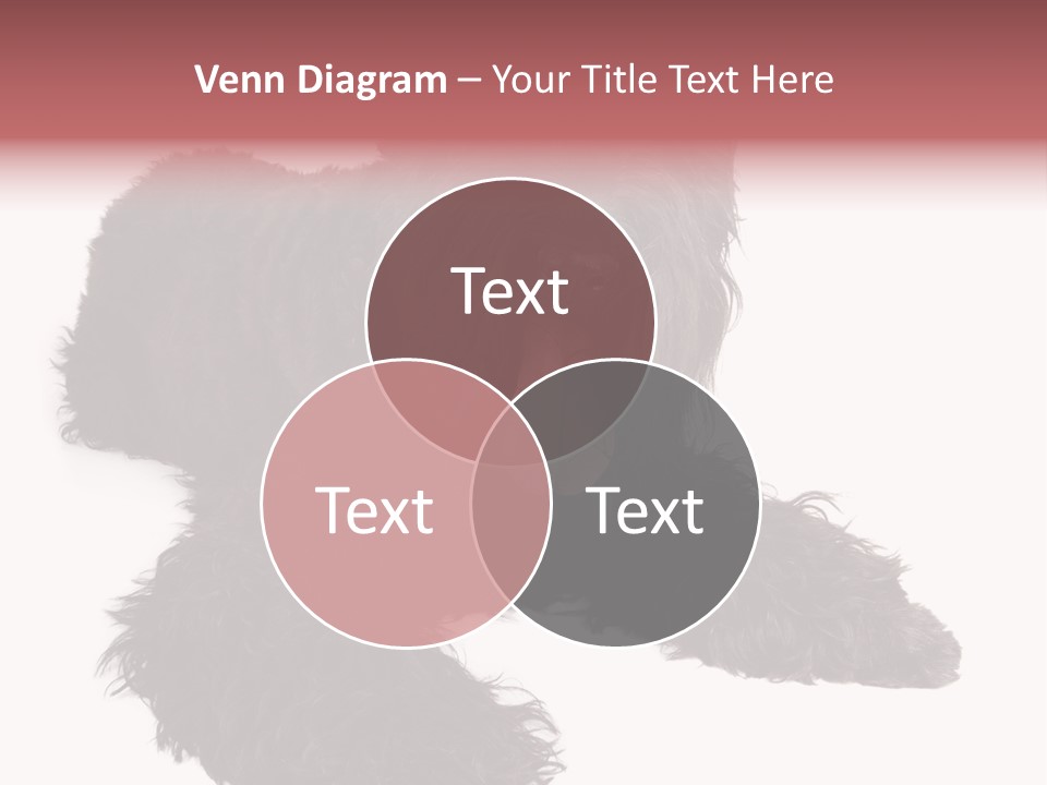 Pet Cut Out Black PowerPoint Template