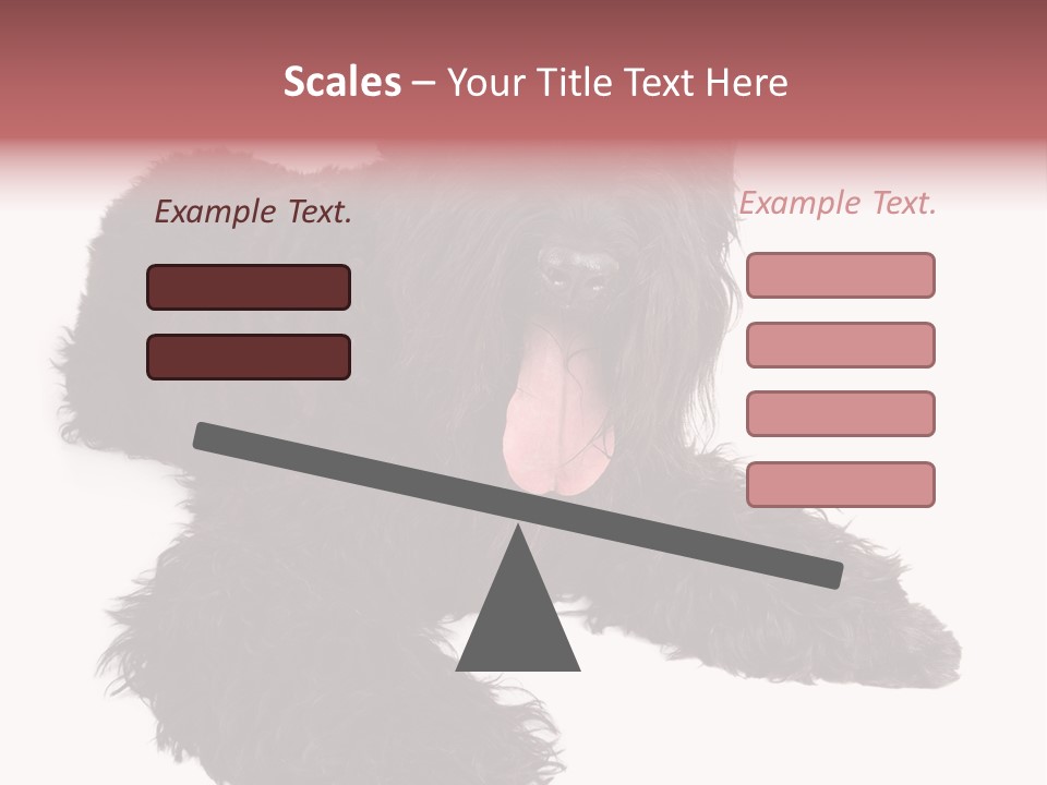 Pet Cut Out Black PowerPoint Template