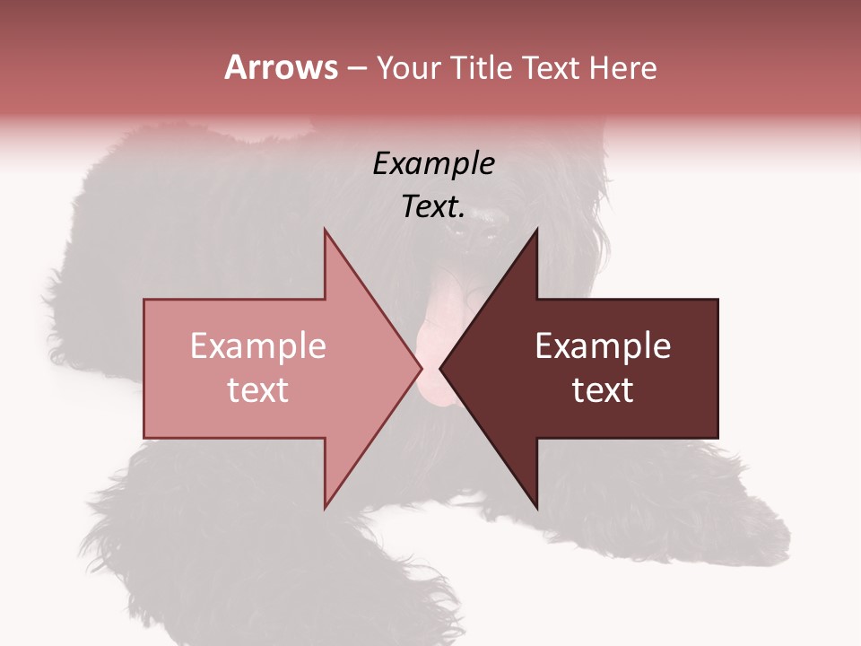 Pet Cut Out Black PowerPoint Template