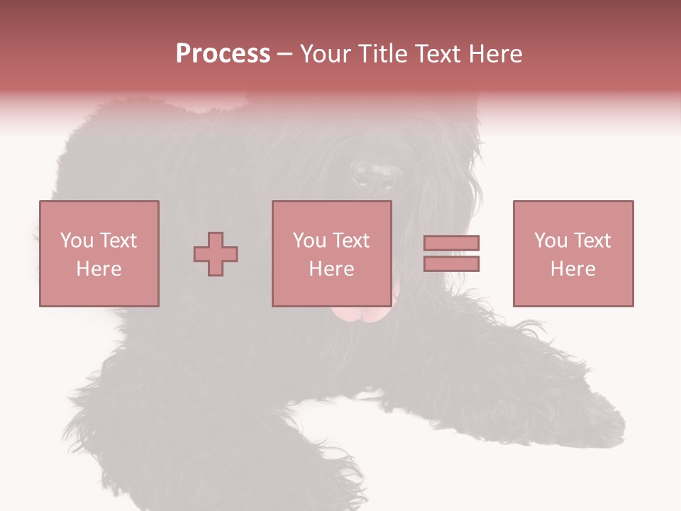 Pet Cut Out Black PowerPoint Template