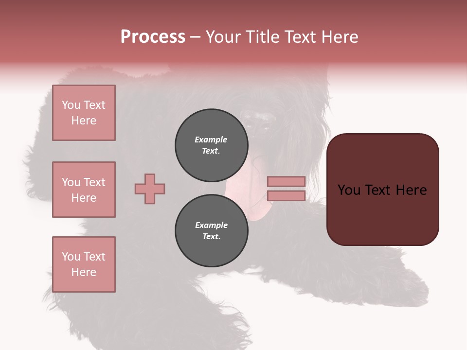 Pet Cut Out Black PowerPoint Template