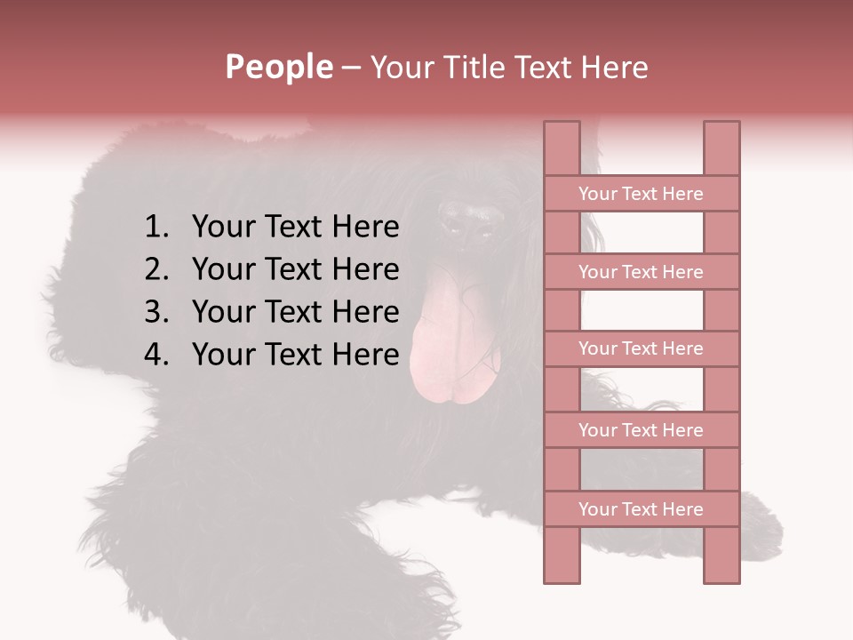 Pet Cut Out Black PowerPoint Template