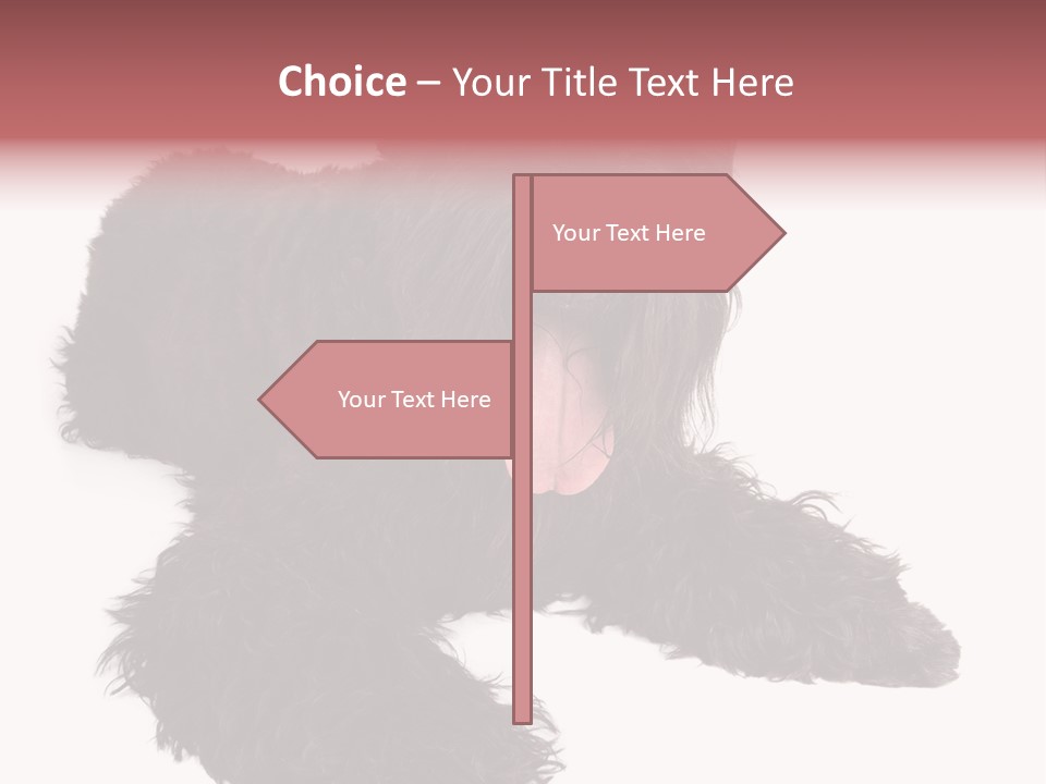 Pet Cut Out Black PowerPoint Template