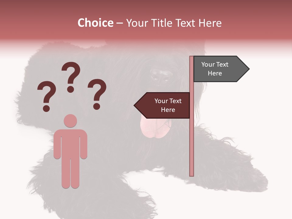 Pet Cut Out Black PowerPoint Template