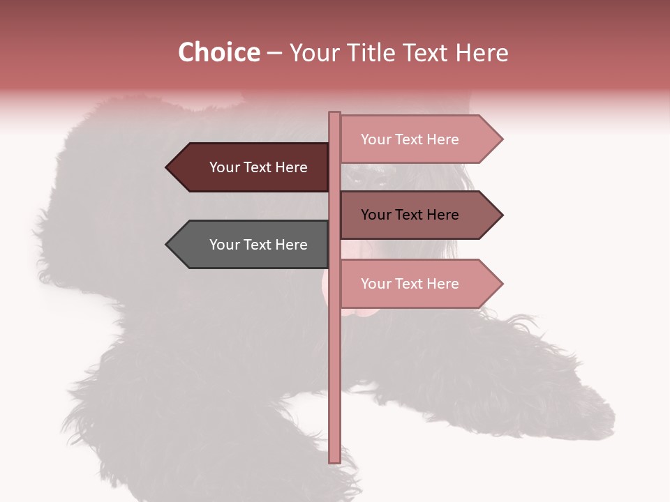 Pet Cut Out Black PowerPoint Template