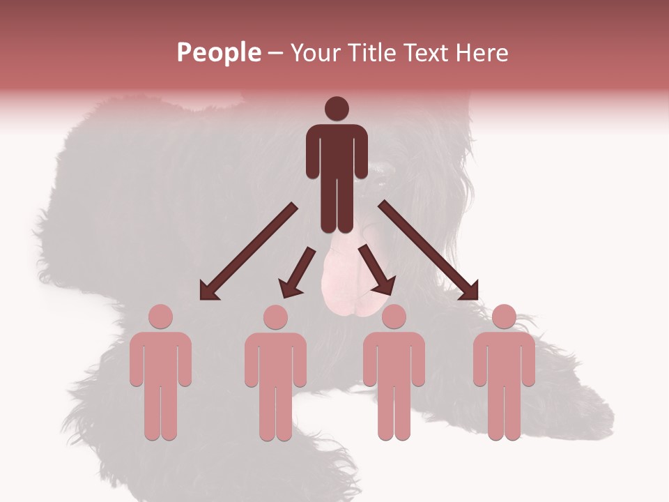 Pet Cut Out Black PowerPoint Template