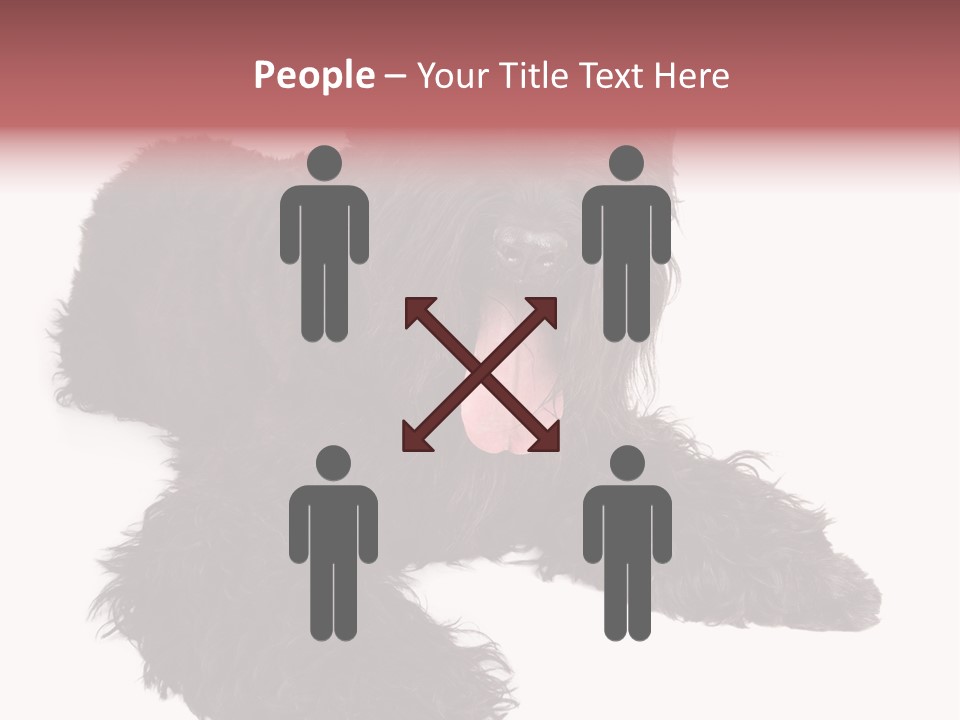 Pet Cut Out Black PowerPoint Template