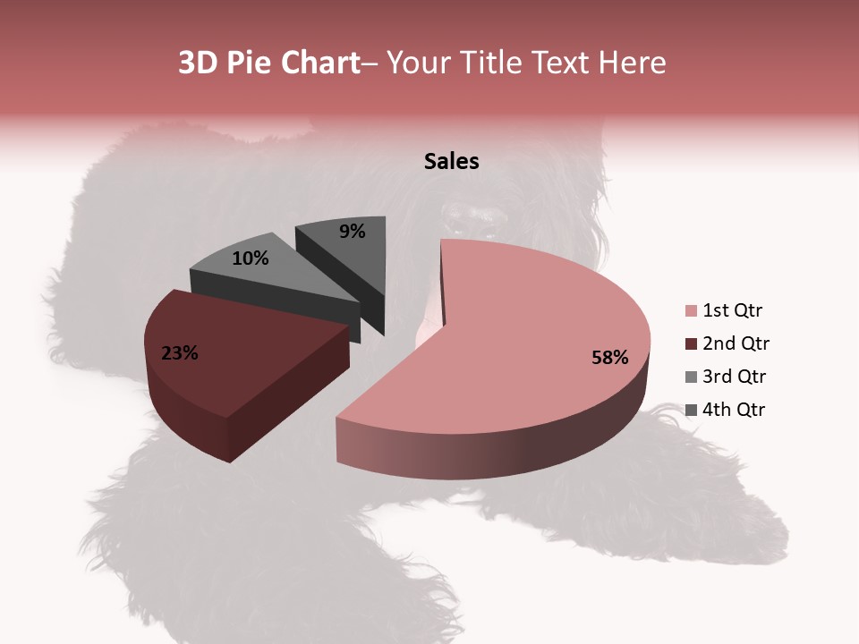 Pet Cut Out Black PowerPoint Template