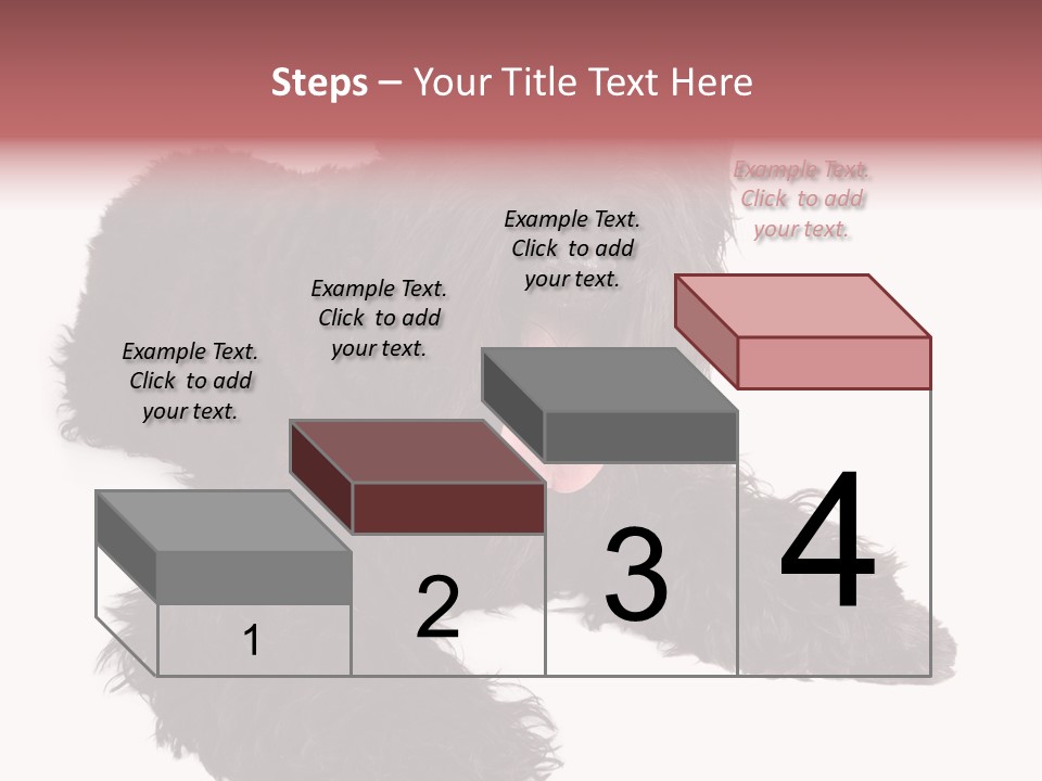 Pet Cut Out Black PowerPoint Template